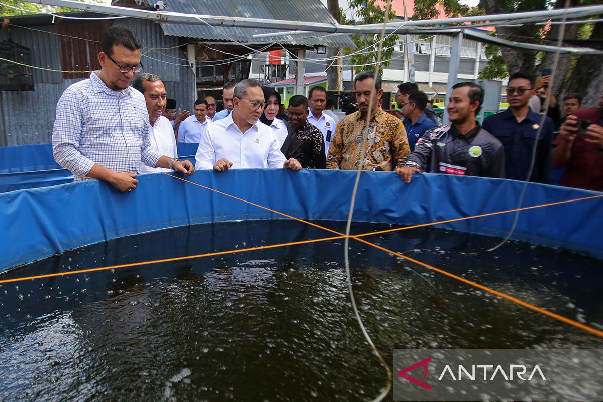 FOTO - Menko Pangan kunjungi di Aceh