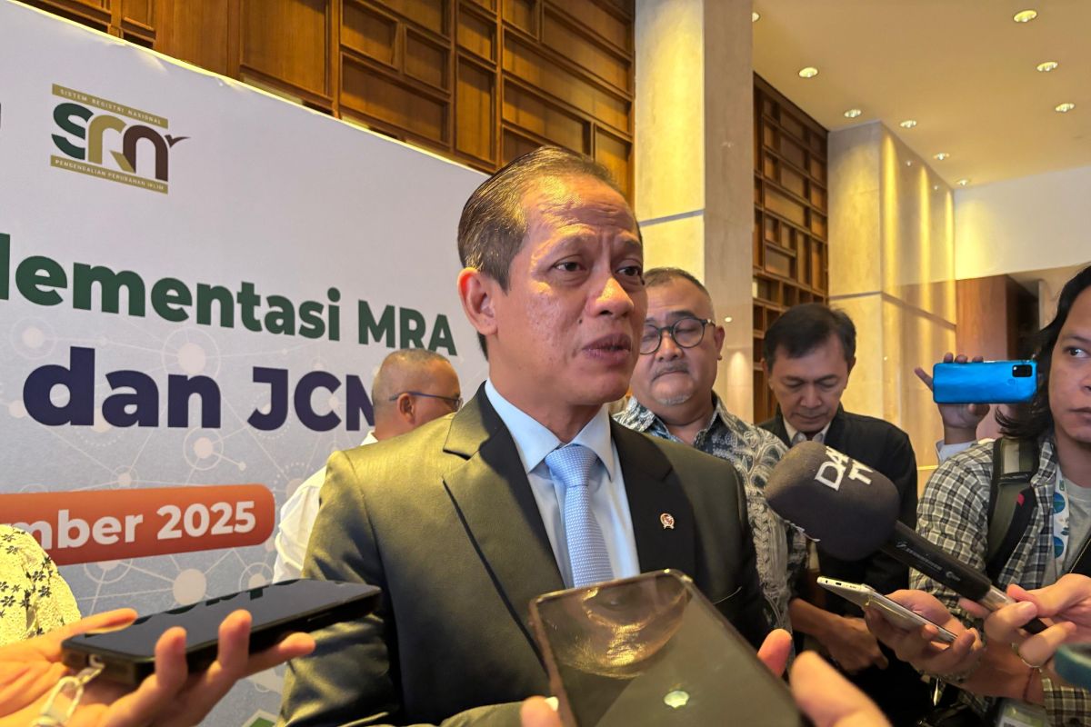 RI needs greater FOLU emission reductions to reach 2030 peak: Minister
