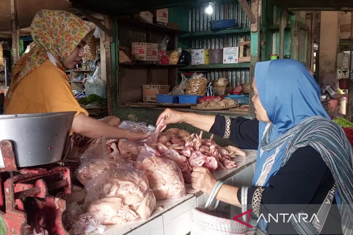 Temanggung  jamin stok telur dan daging ayam tersedia meski harga naik