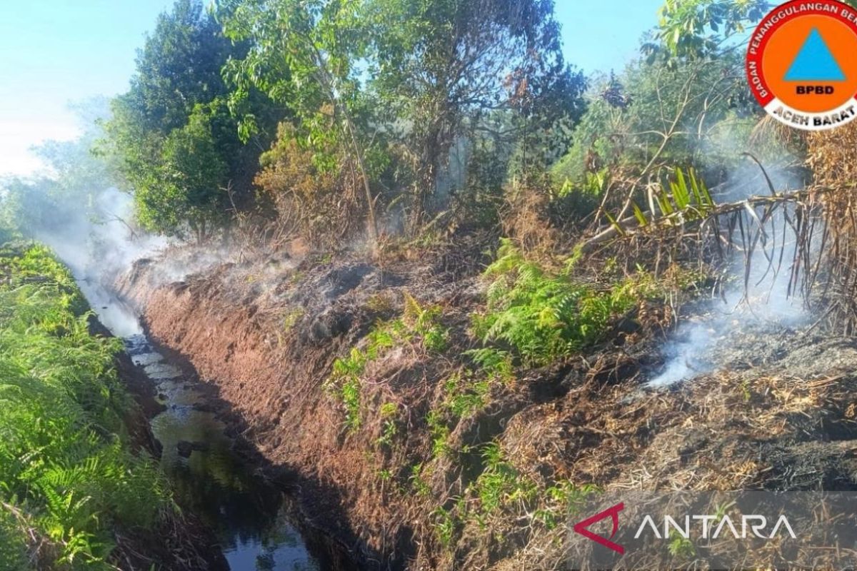 BPBD Aceh Barat kerahkan tim padamkan karhutla