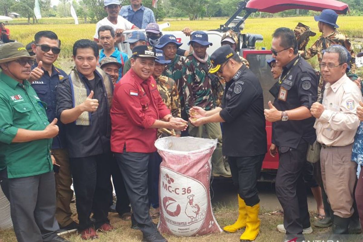 Bupati Banyuasin motivasi petani biasakan tanam padi dua kali setahun