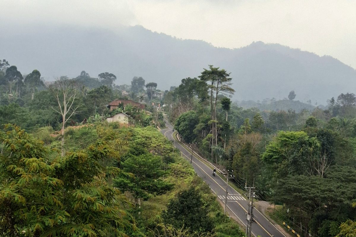 Pemprov Lampung susun "Integrated Area Development" berbasis perhutanan sosial