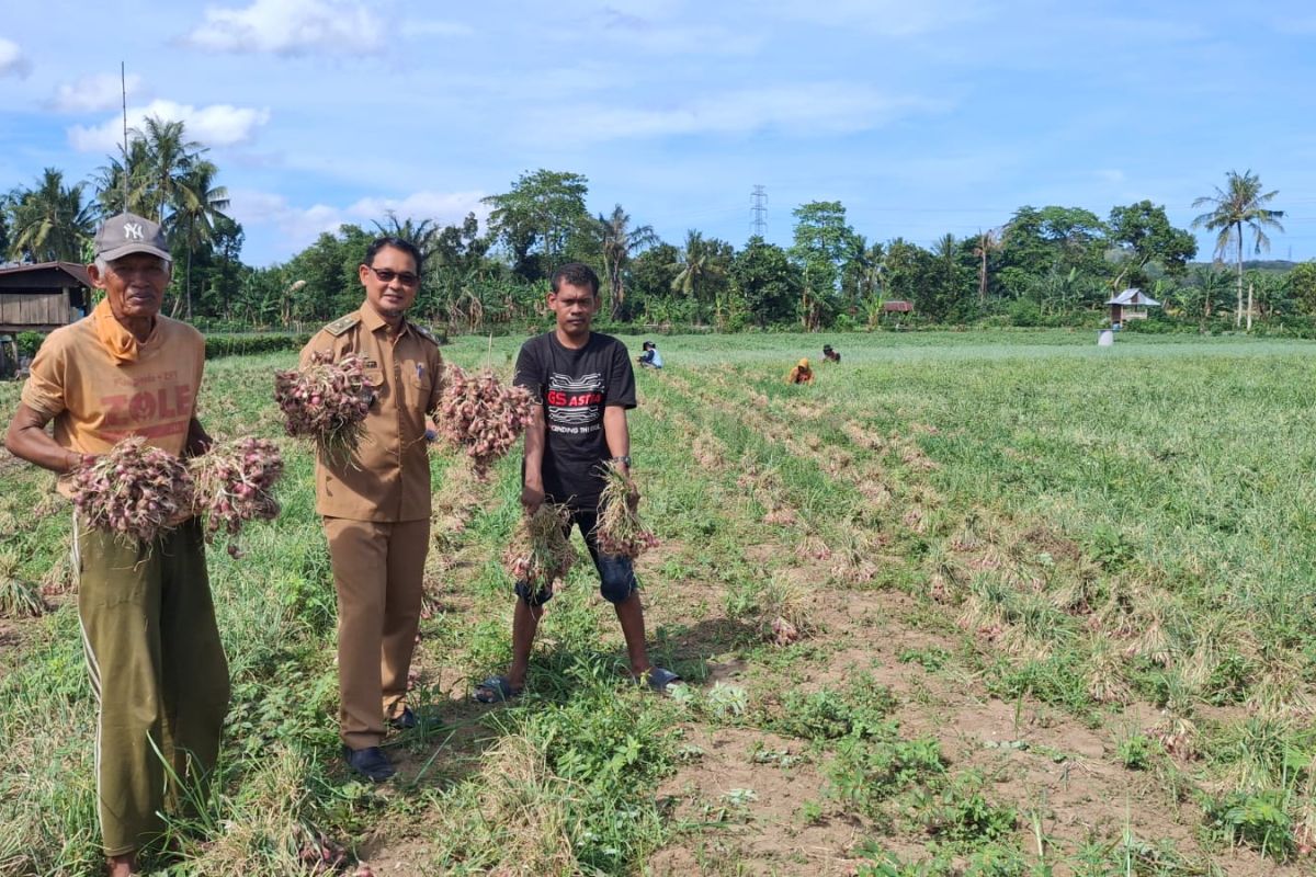 Program TJSL PLN berikan dampak ekonomi bagi petani Lampoko Barru