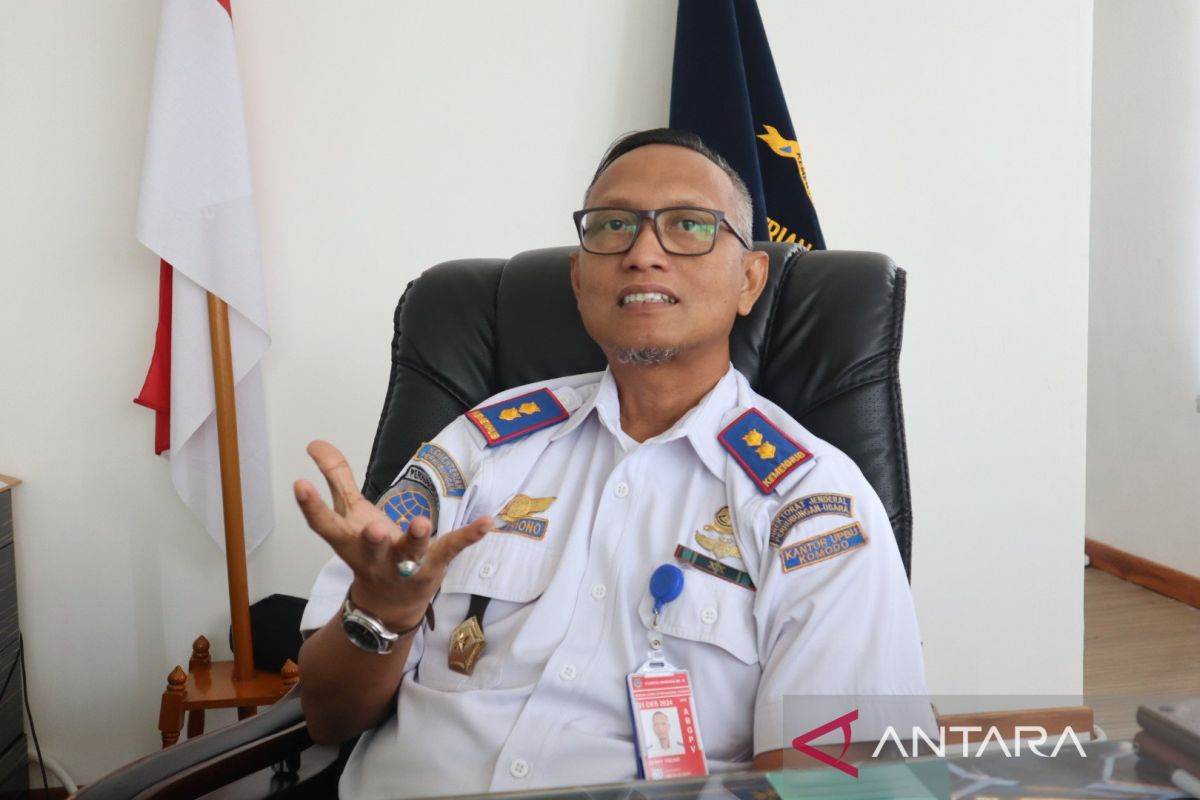 Enam penerbangan di Bandara Komodo batal dampak erupsi Gunung Lewotobi