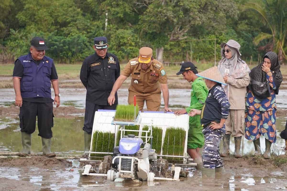 Pemkab Simeulue tanam padi gunakan alat modern