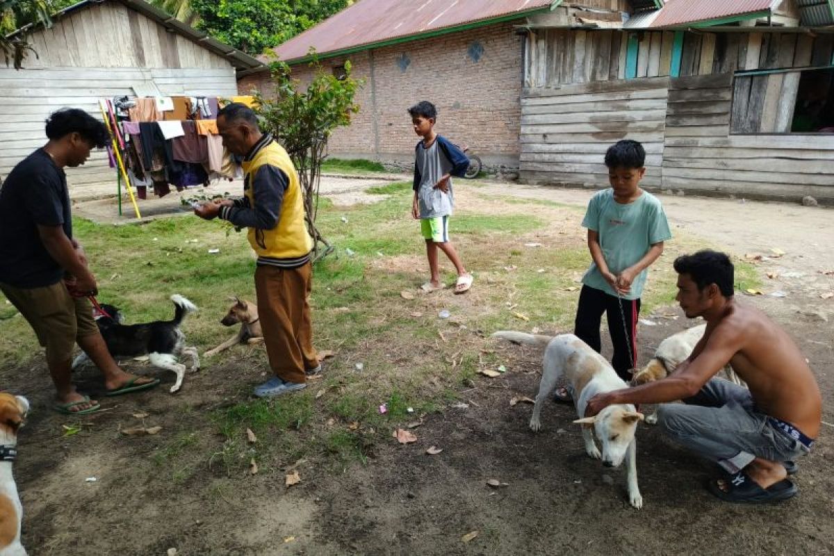 Pemkab Pasaman Barat imbau masyarakat waspada gigitan hewan rabies