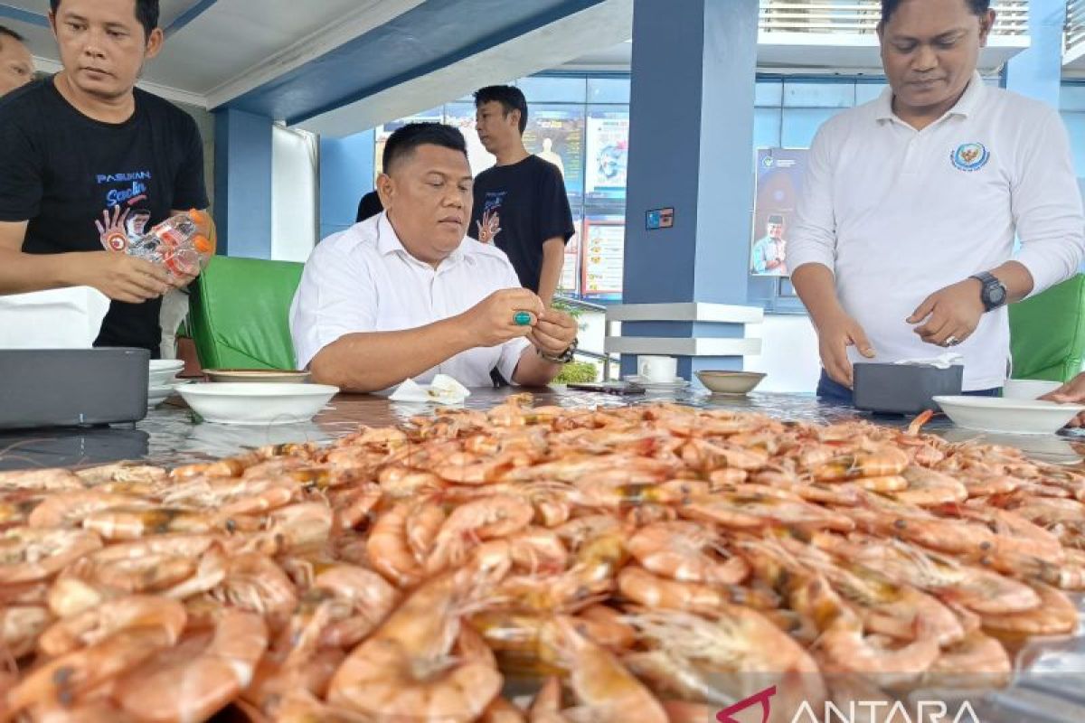 Bangka Belitung bidik ekspor udang ke Arab Saudi