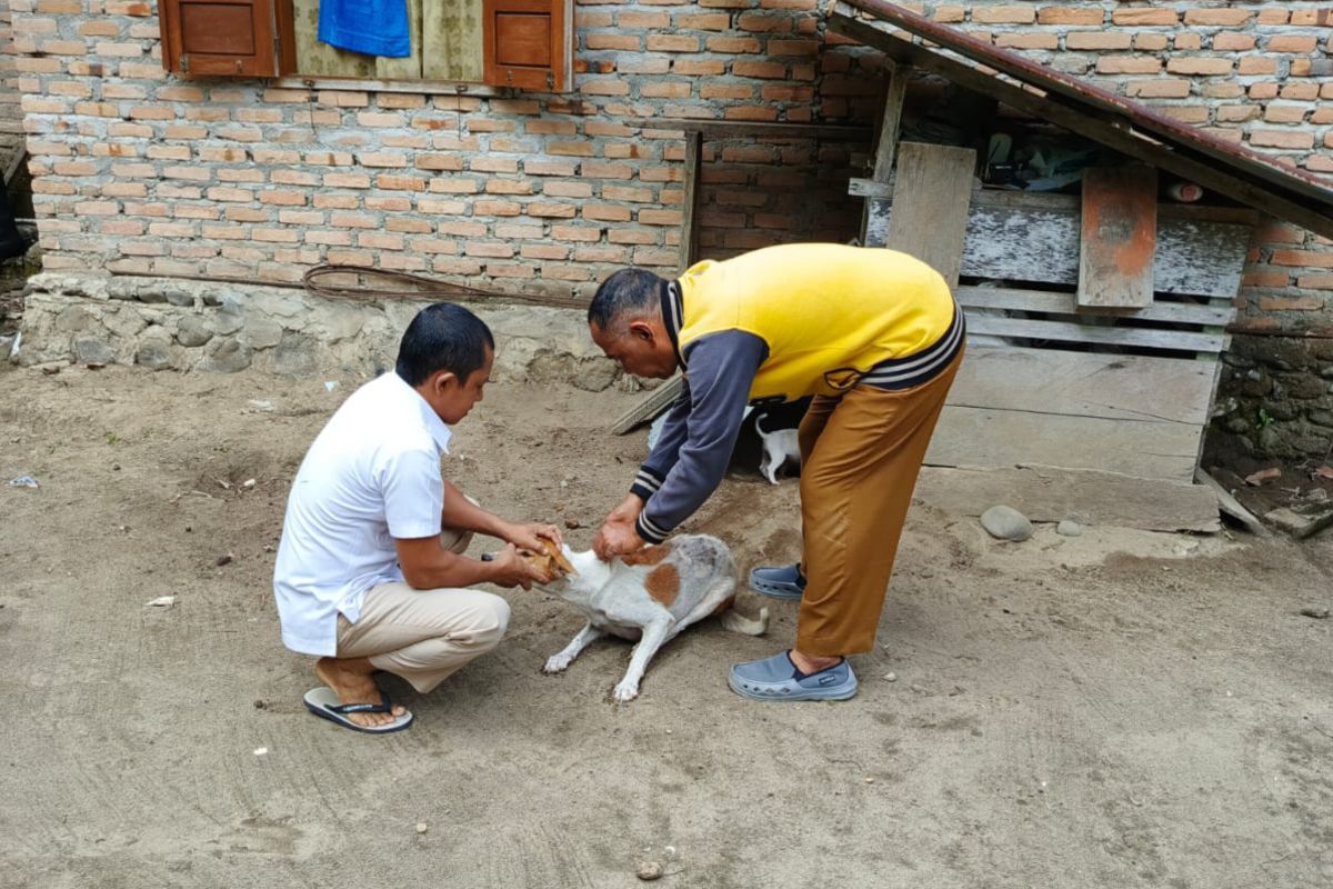 Pemkab Pasaman Barat imbau masyarakat lapor jika ada tergigit hewan peliharaan antisipasi rabies