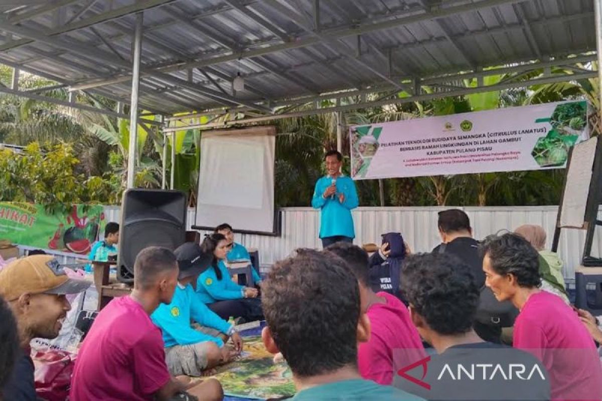 UPR latih cara budidaya semangka evaluasi kegagalan petani Desa Gohong