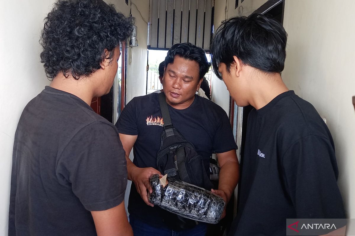 Polisi tangkap dua mahasiswa terima paket ganja 819 gram di Mataram