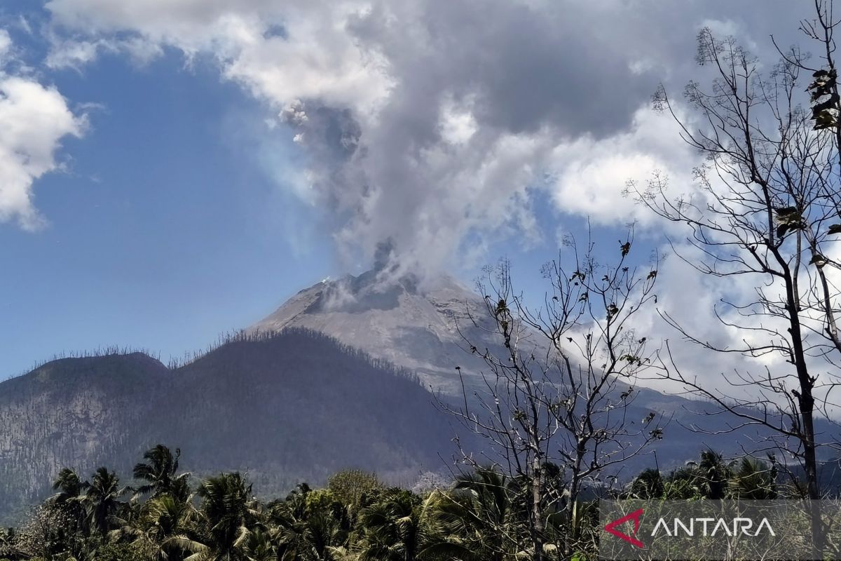 Gunung Lewotobi Laki-laki Meletus Lima Kali, Semburkan Abu Vulkanik Setinggi 1.000 Meter
