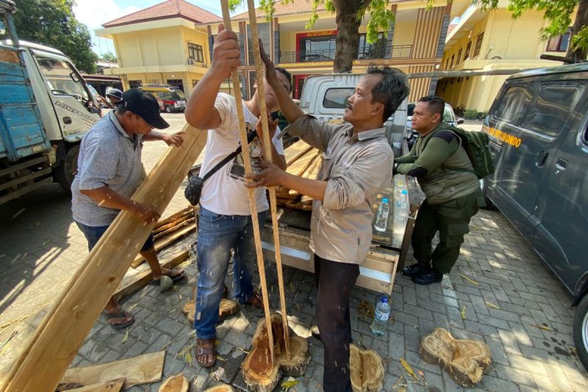 Polres Situbondo lakukan penahanan 3 pelaku pembalakan liar