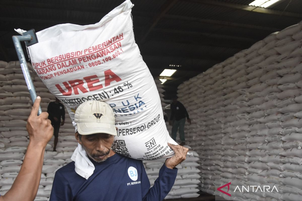 Kementan pastikan stok pupuk subsidi cukup masuki MT Oktober-Maret