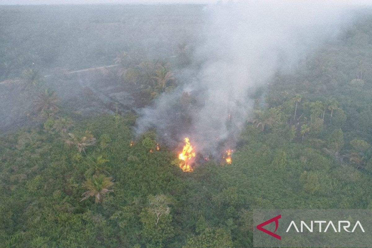 BPBD: Luas lahan terbakar di Aceh Barat capai 8,8 Ha