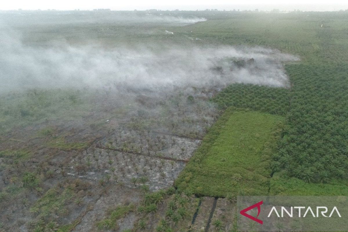 BPBD: Kebakaran lahan di Aceh Barat meluas hingga 12,8 hektare