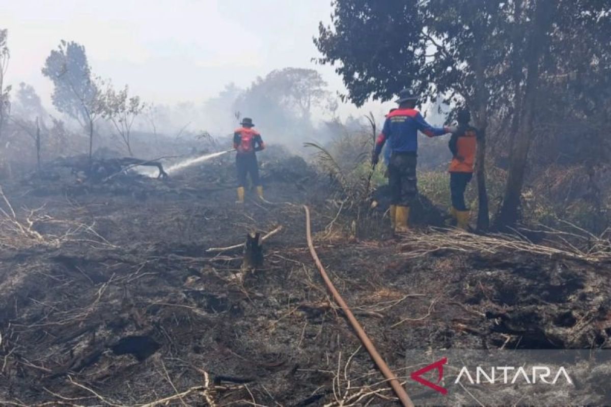 BMKG: Karhutla masih berpotensi terjadi di barat Aceh selama September