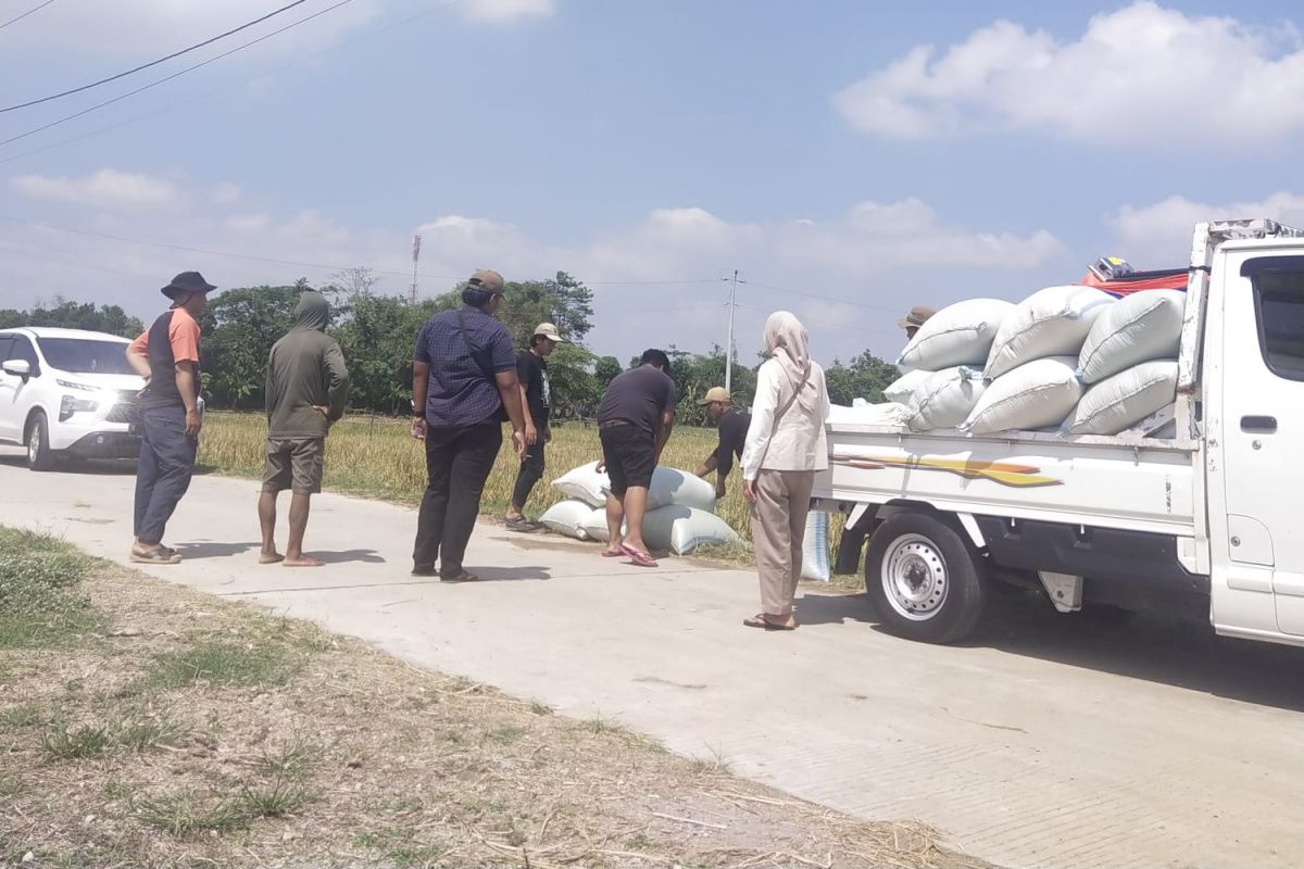 Bulog gencarkan penyerapan beras sampai dengan akhir tahun