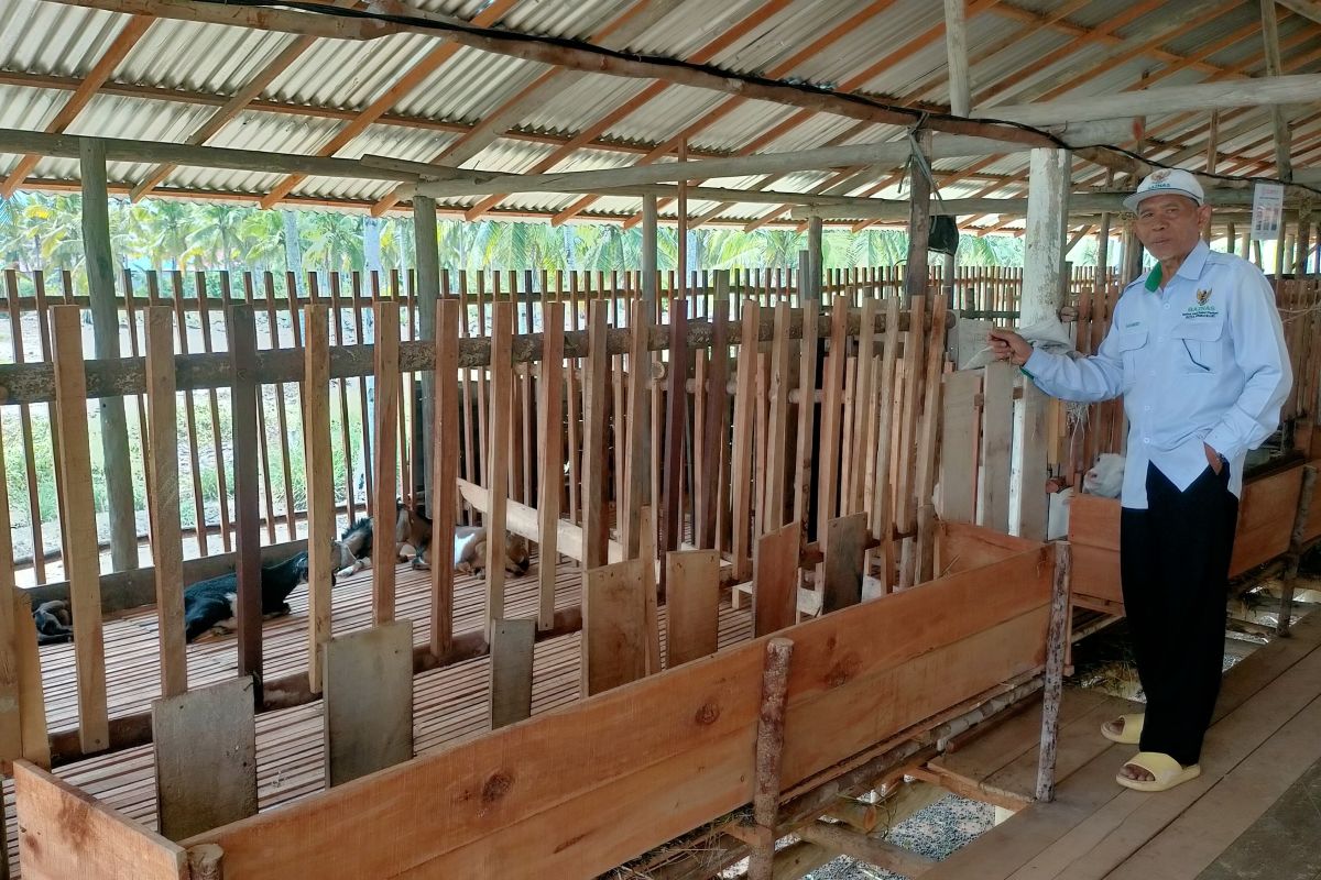 Baznas Singkawang membangun balai ternak kambing untuk umat