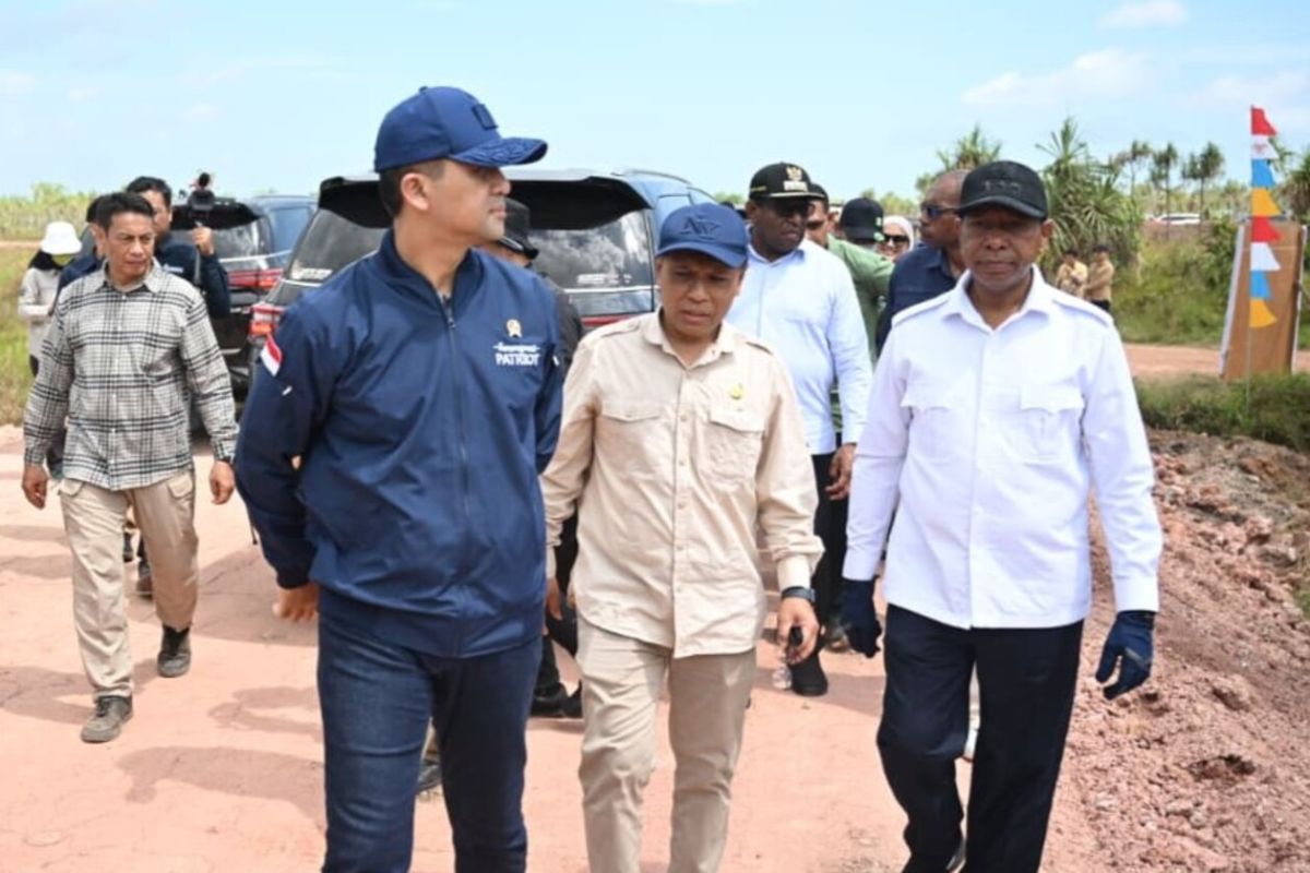 Kementerian Transmigrasi membangun kampus patriot di Merauke tingkatkan SDM