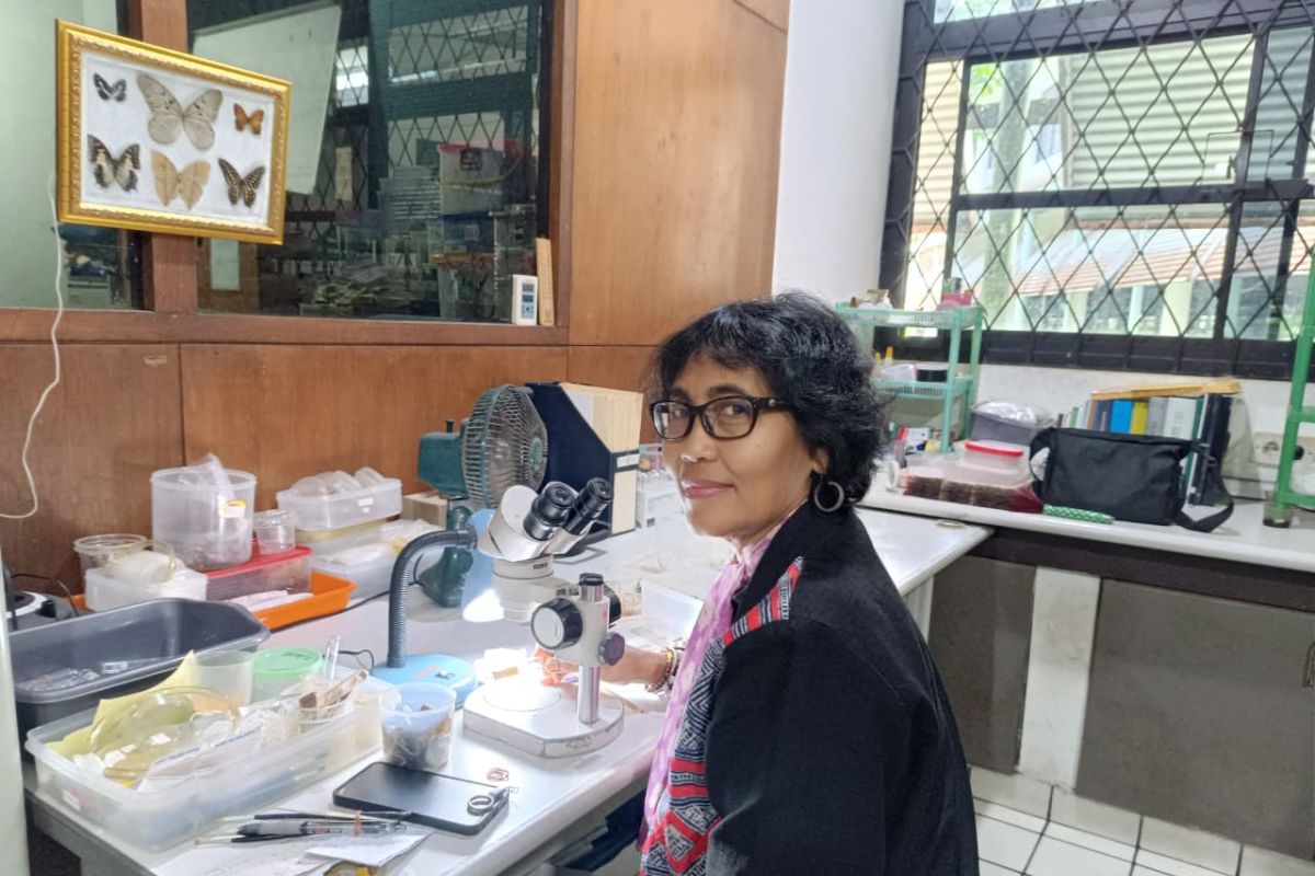 Serangga serta pertanian berkelanjutan ala Damayanti Buchori