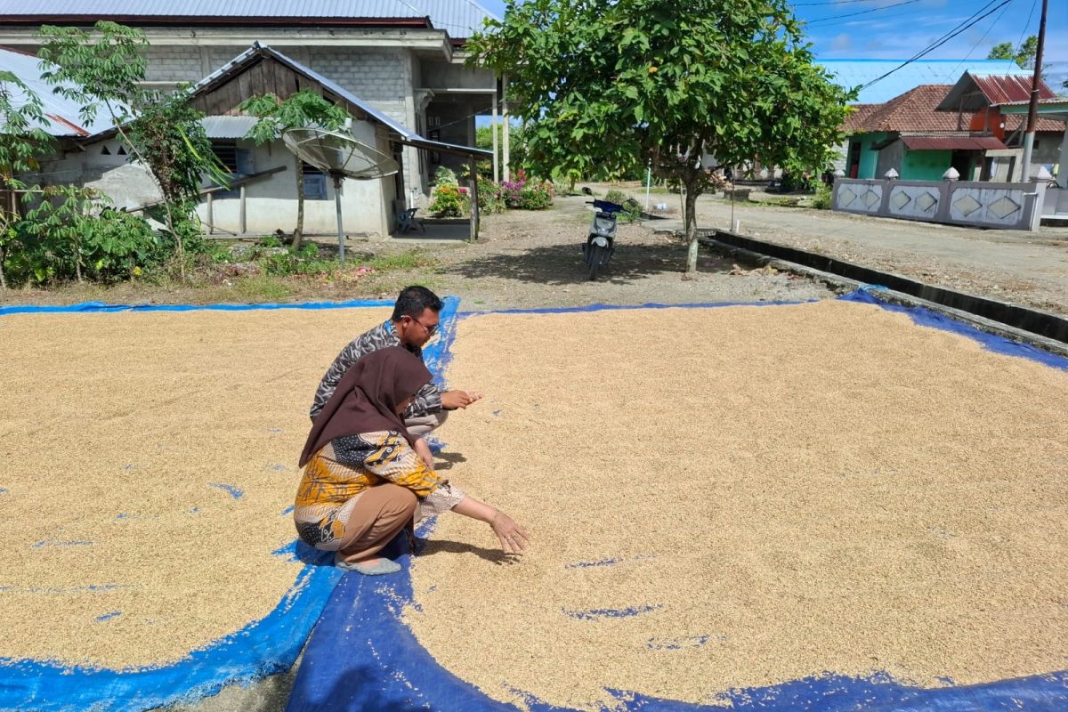 Babel kemarin, Korban PHK smelter timah hingga anggaran HUT untuk beli beras petani