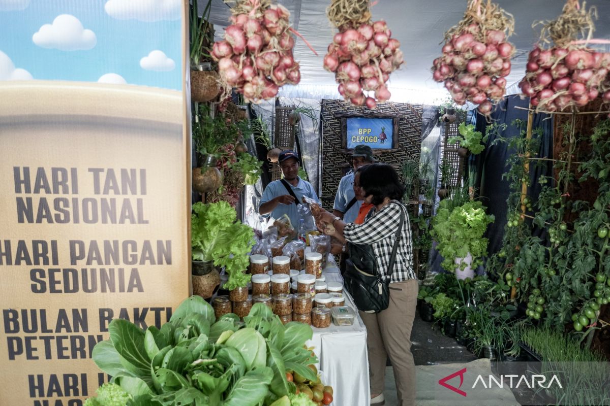 Hari Tani, keberlanjutan pertanian dan masa depan kehidupan