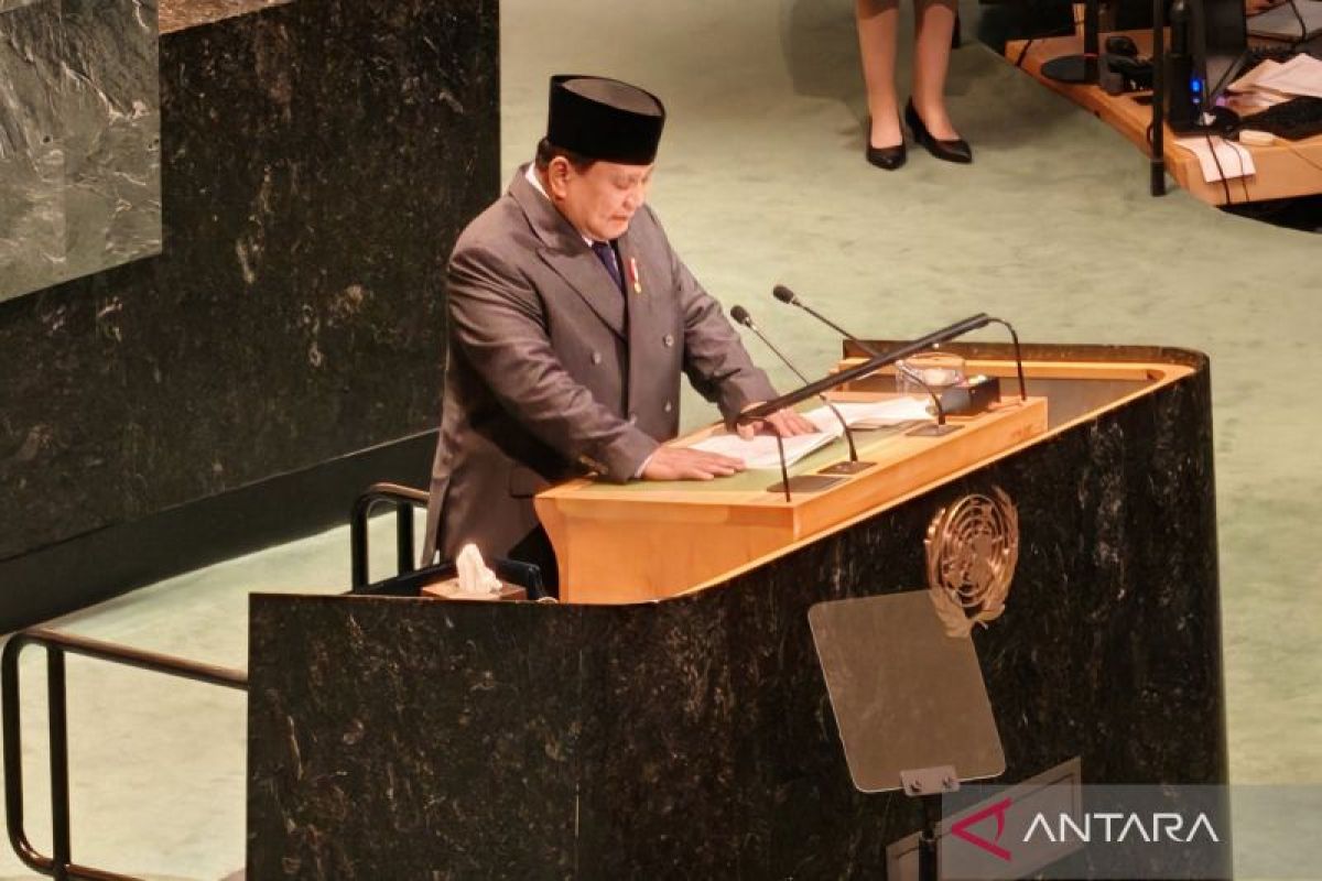 Presiden Prabowo buka opsi akui Israel, jika Israel akui Palestina