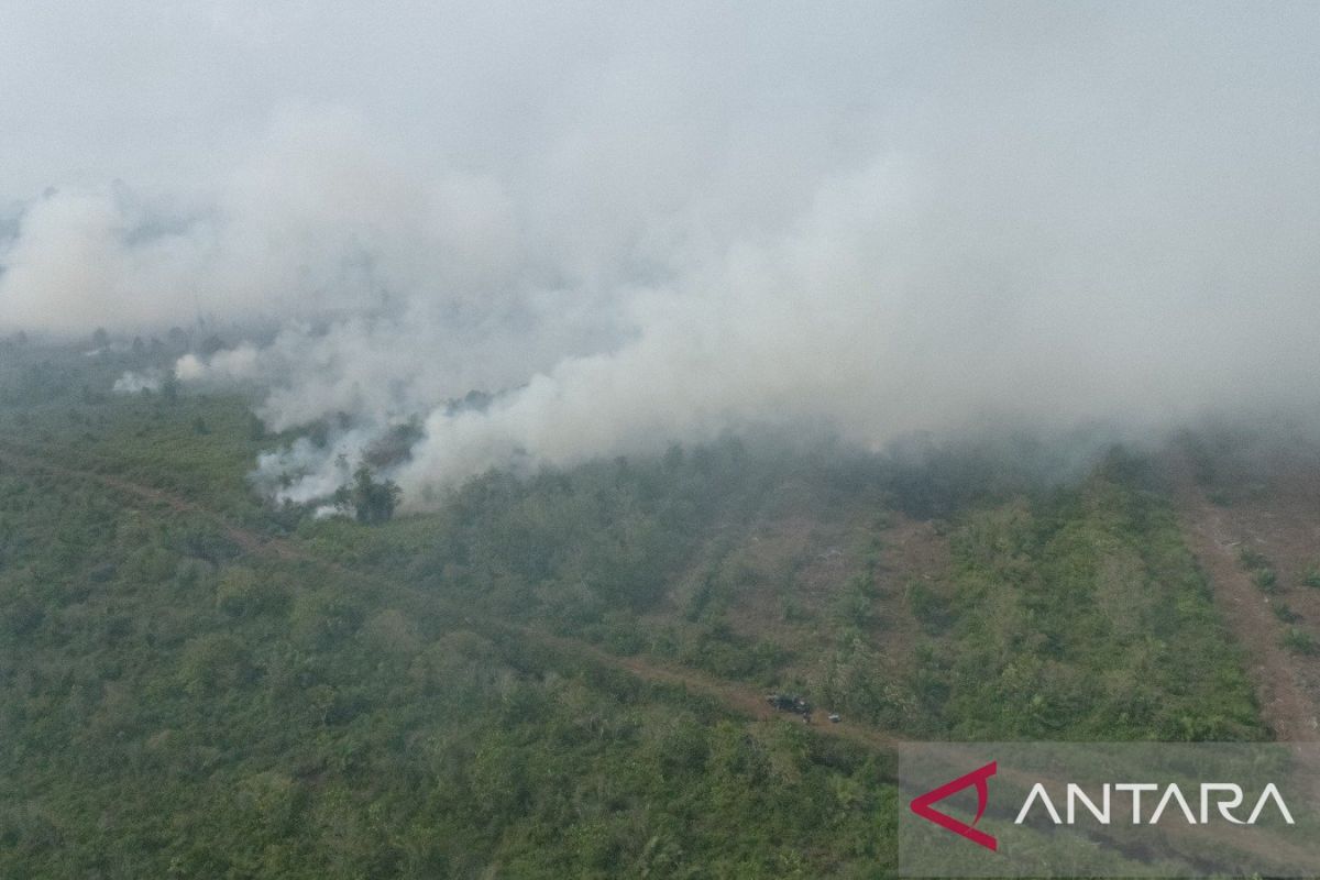 Karhutla di Aceh Barat semakin meluas, bertambah menjadi 19,8 Ha