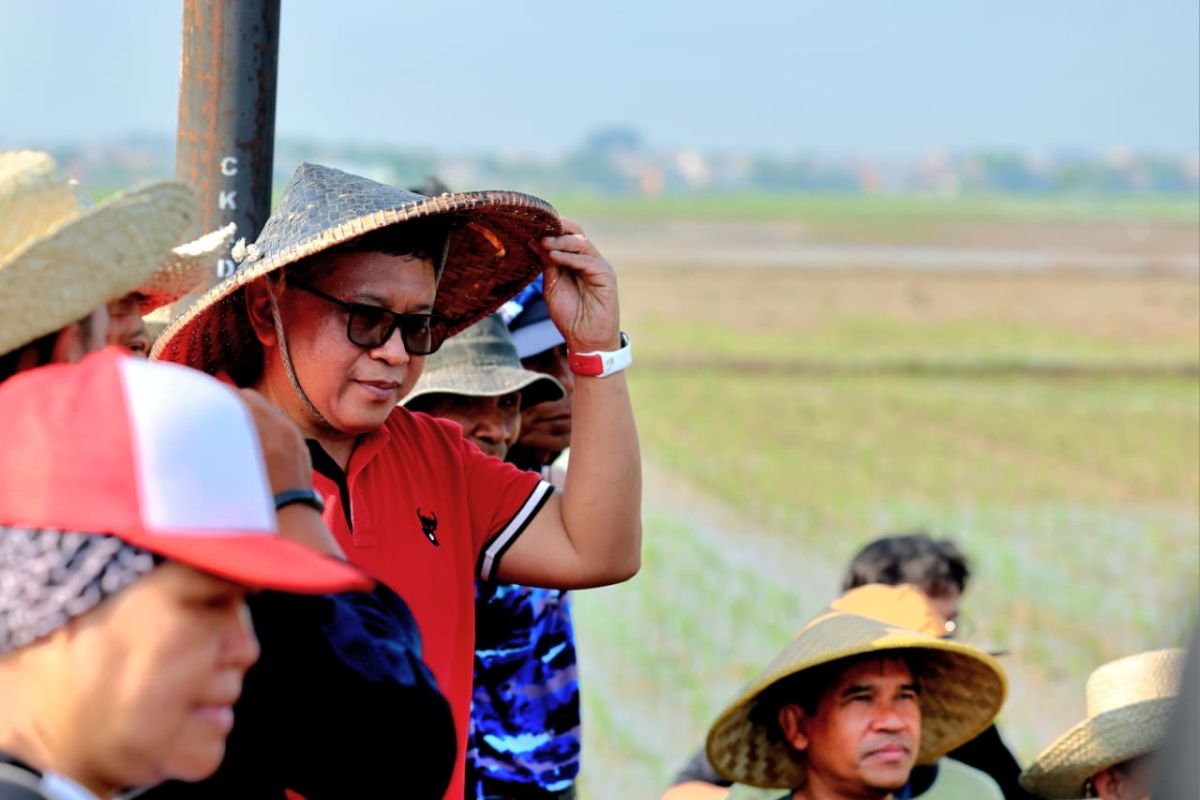 PDIP tegaskan komitmen sejalan dengan Presiden Prabowo jaga pangan