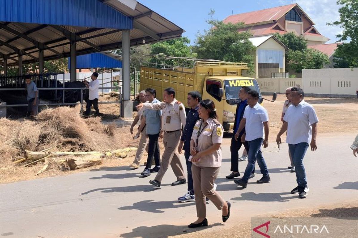 Komisi IV DPR dorong penguatan fungsi hukum Karantina di NTT