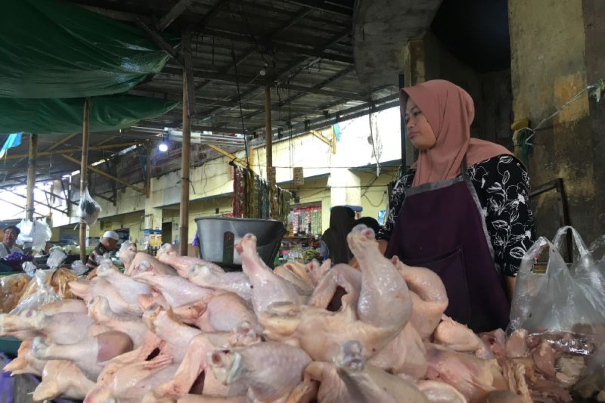 Harga ayam broiler di Pasar Kebon Roek Mataram mahal akibat suplai berkurang