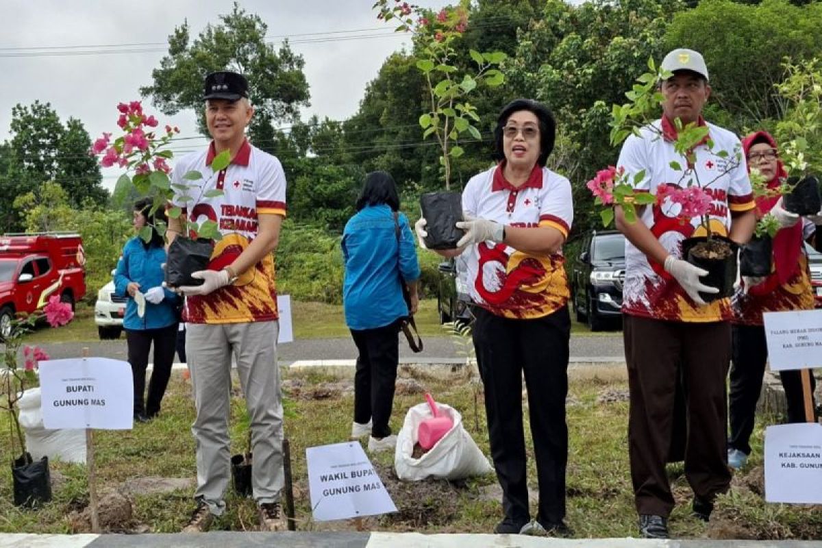 PKG hingga penanaman bugenvil warnai HUT ke-80 PMI di Gunung Mas