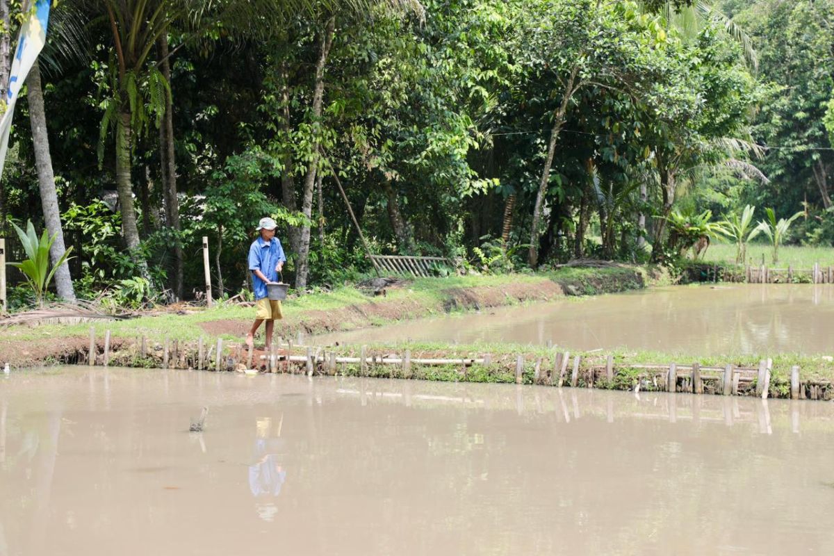 Reforma Agraria hidupkan potensi Desa Bandung, dari semak belukar jadi sumber ekonomi masyarakat