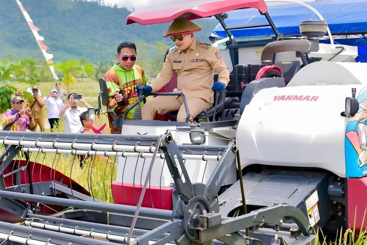 Pemkab Banggai upaya dorong kemandirian pangan lewat program strategis