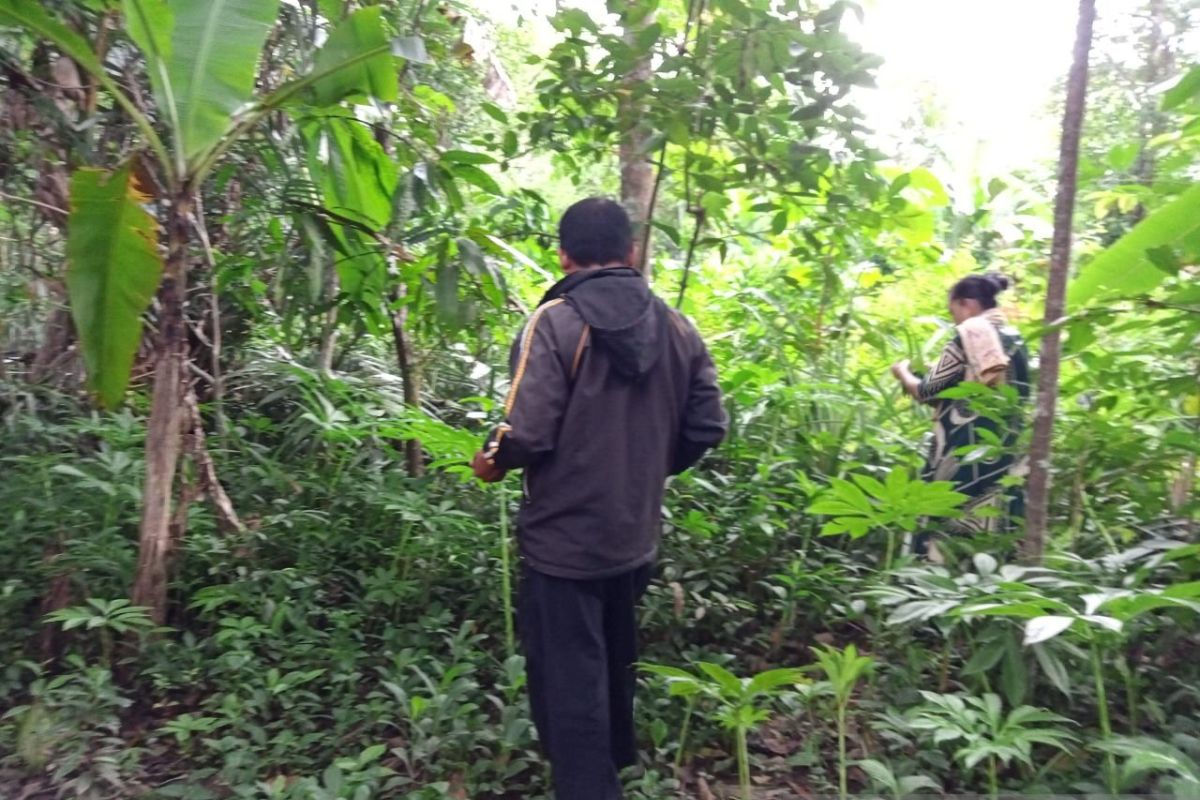 DLH Sulsel: Perhutanan sosial berikan akses legal bagi masyarakat