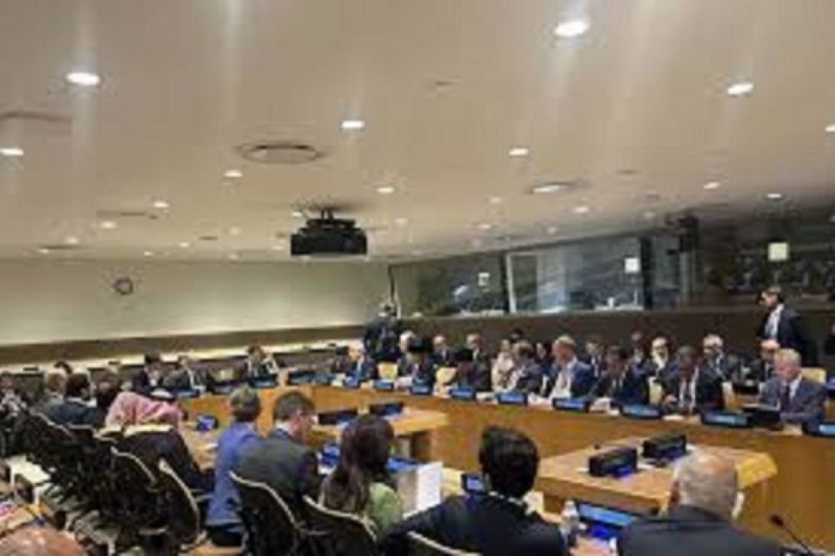 RI-Prancis Sepakat Bagi Peran untuk Wujudkan Negara Palestina