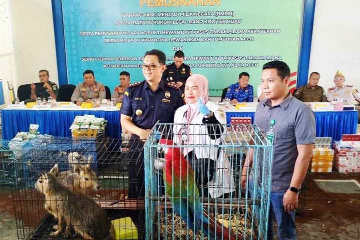 Tiga hewan barang bukti penyelundupan satwa di Aceh mati