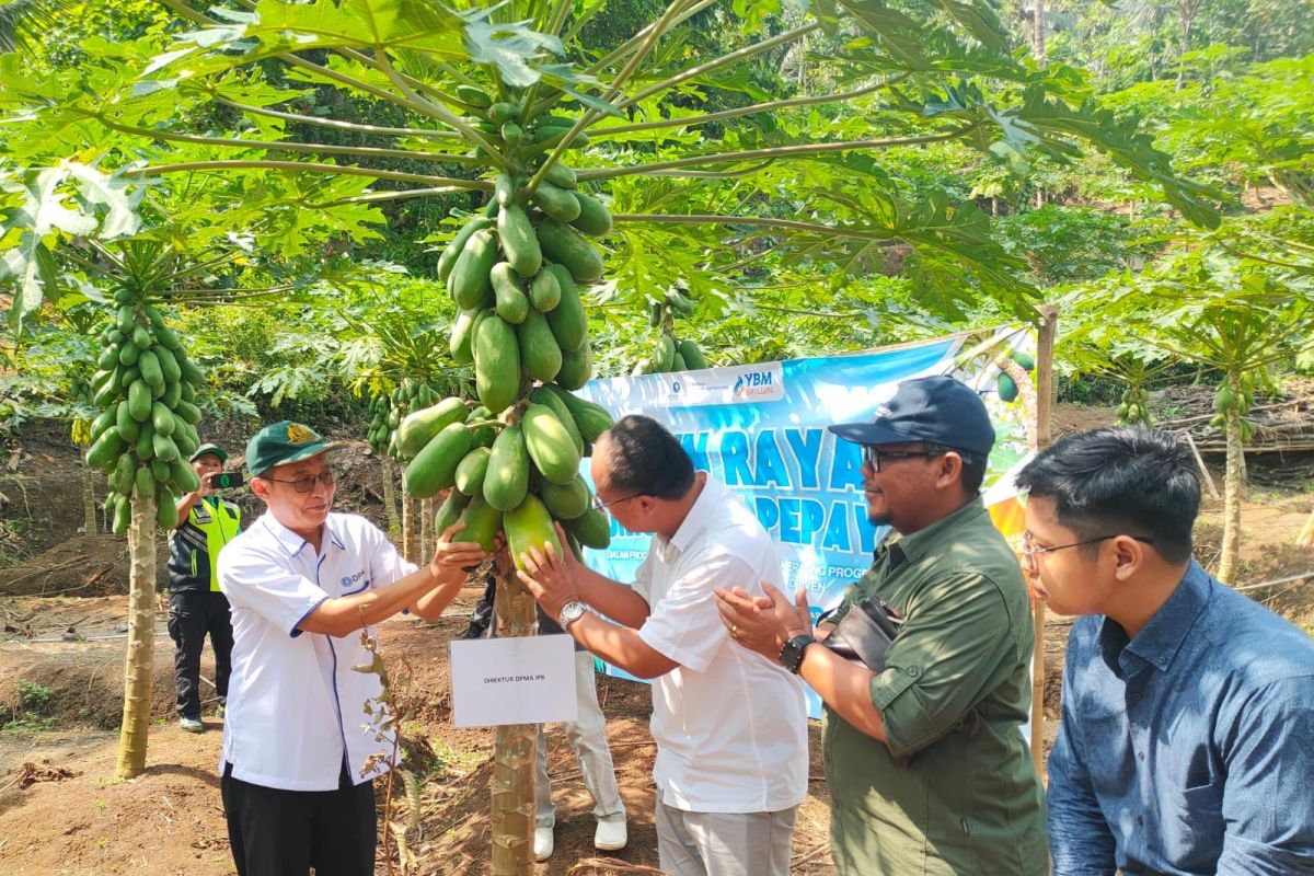 DPMA-IPB beri pendampingan petani untuk bangun ekosistem bisnis