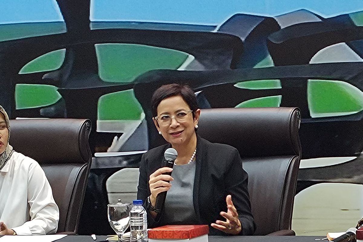 Anggota Komisi I DPR: pengakuan internasional jadi modal diplomasi RI