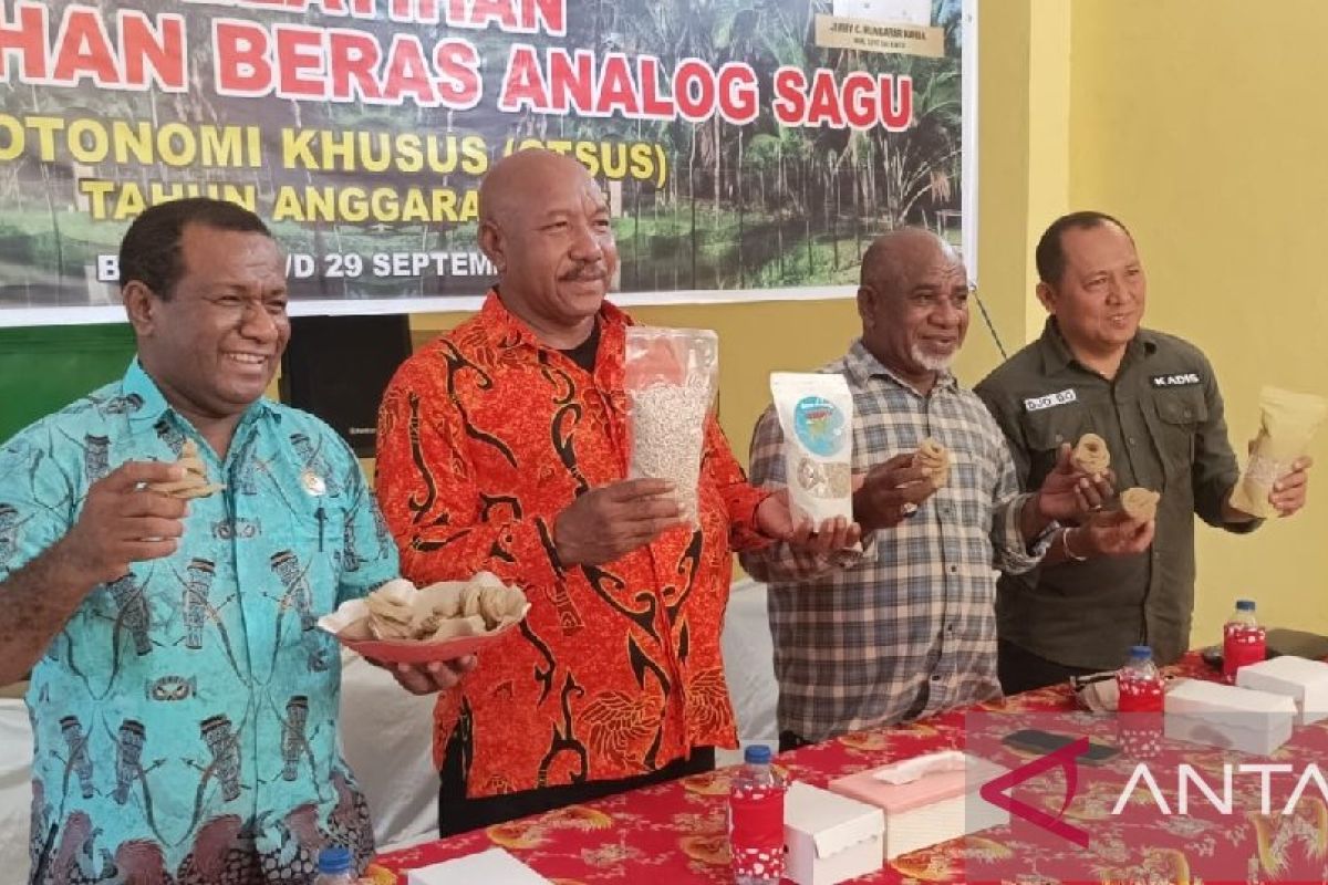 Pemkab Biak Numfor latih keterampilan warga OAP olah beras analog sagu