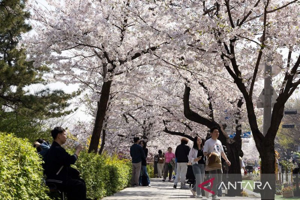 Tiga penyebab kematian utama di Korsel pada 2024