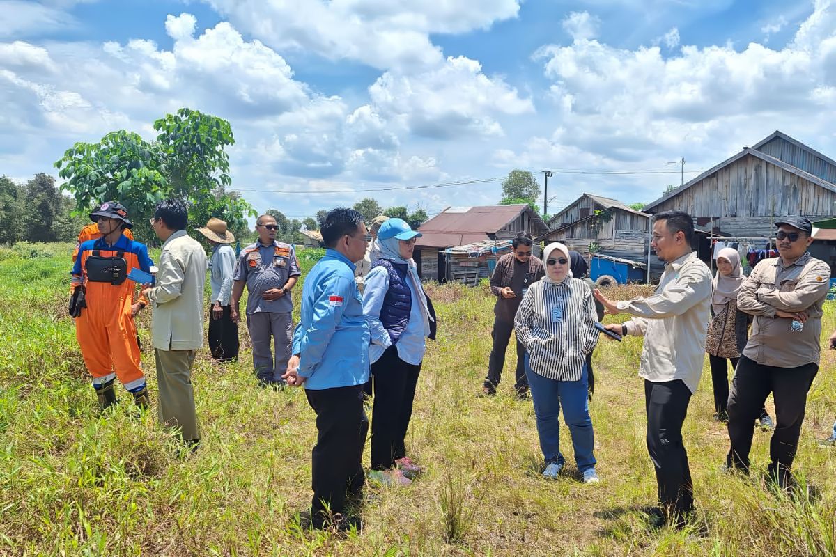 Menteri LH utus tim analisis karhutla di Banjarbaru dan Barito Kuala