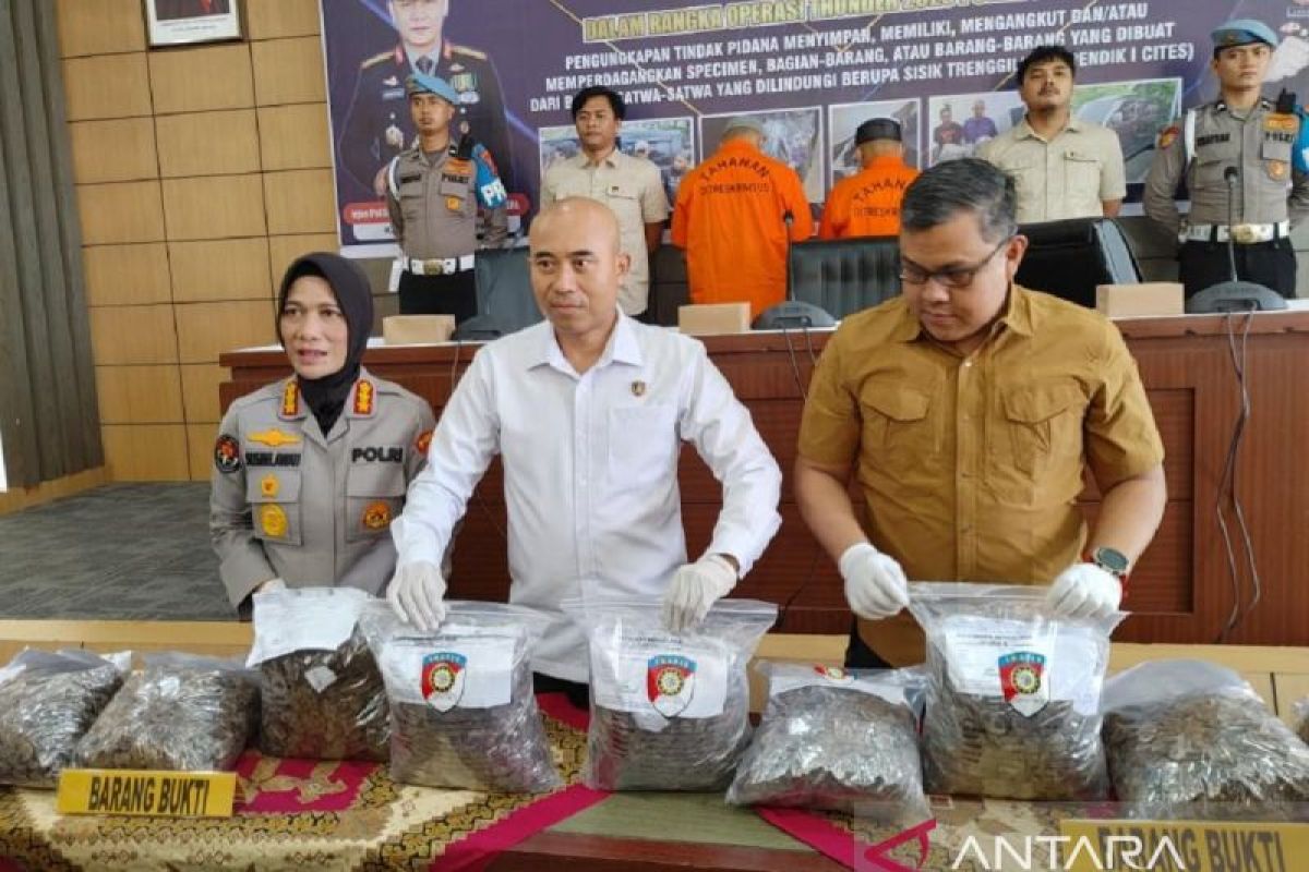 Polda Sumbar ungkap perdagangan gelap sisik trenggiling 24,2 kilogram
