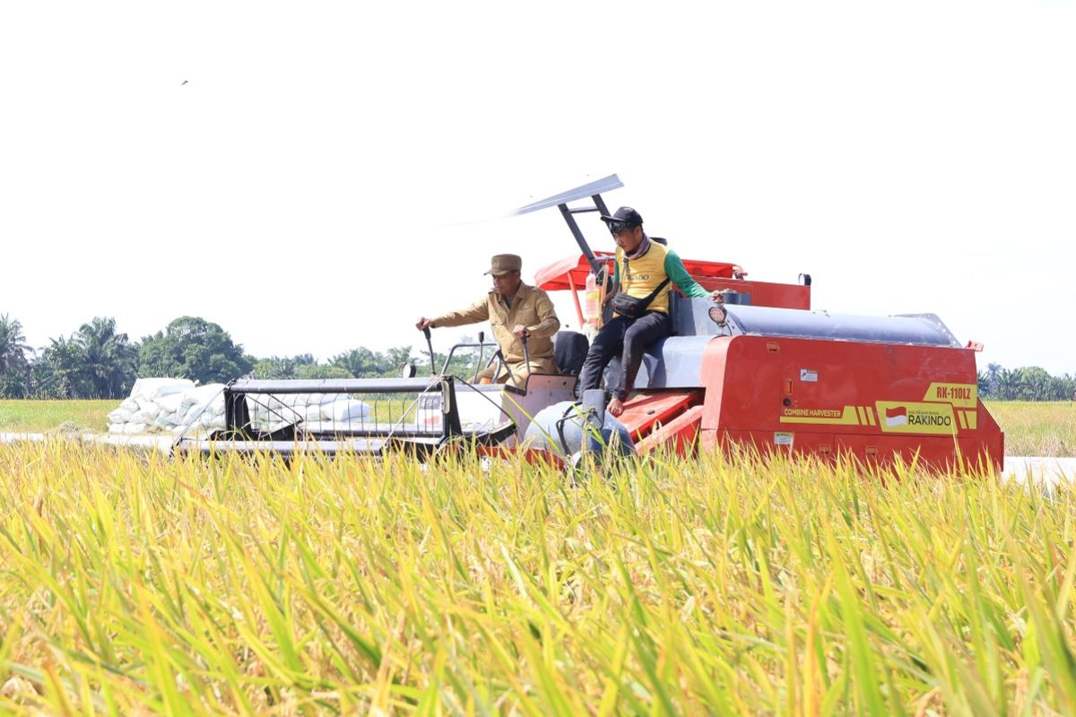 Bupati Darma Wijaya optimis Serdang Bedagai kembali swasembada pangan