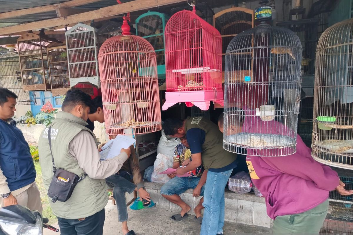 BKSDA Sumbar lakukan pengawasan peredaran satwa dilindungi di Agam (Video)