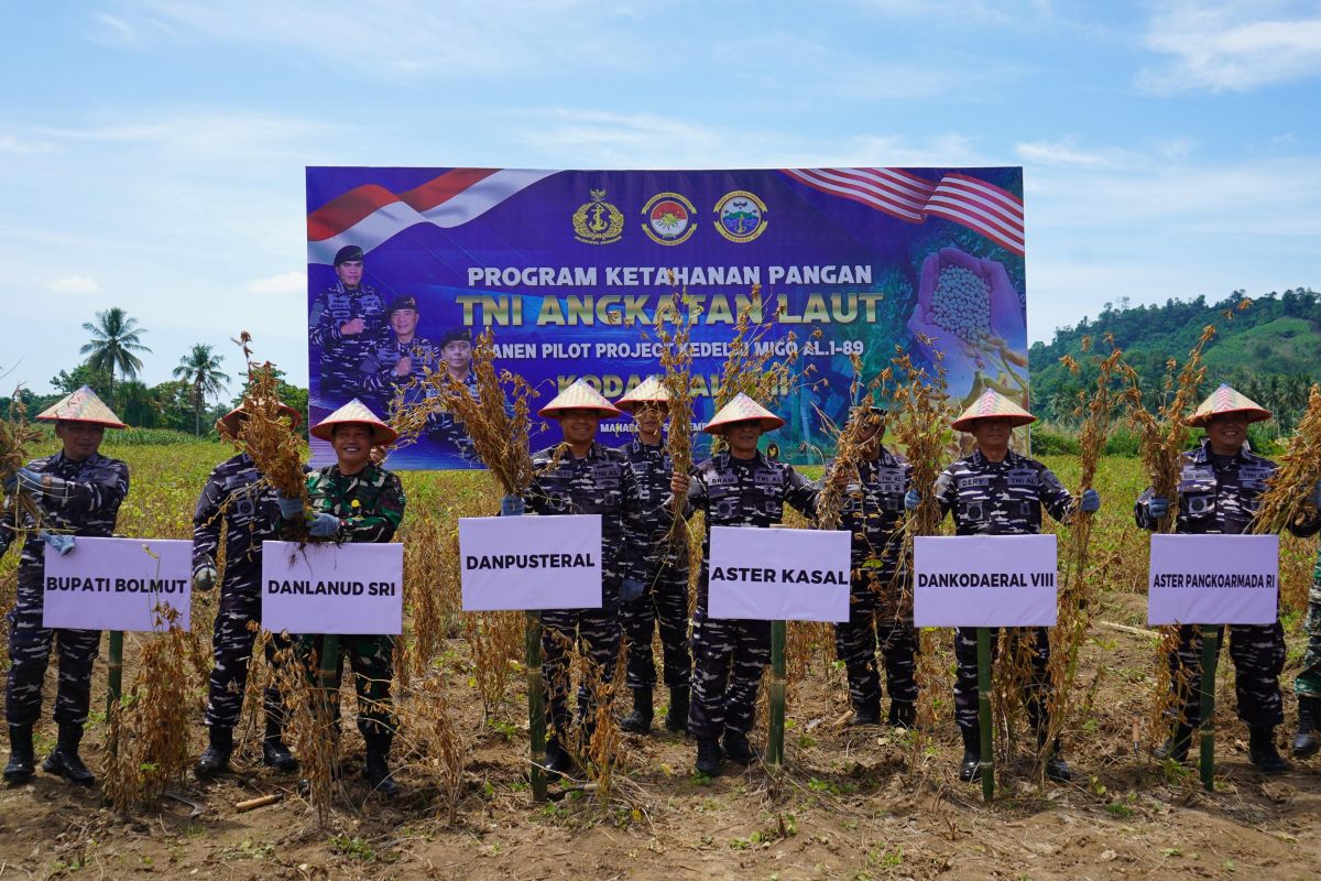 TNI AL panen raya kedelai MIGO AL.1-89 di Bolmut