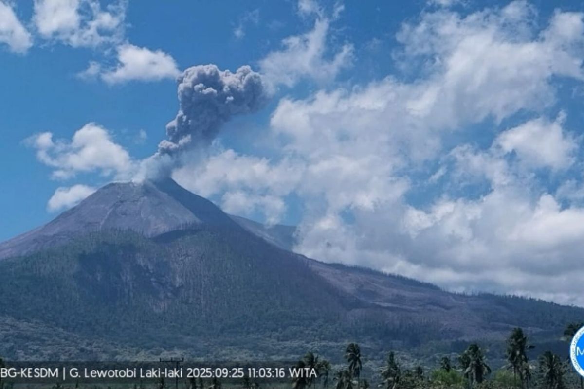12 kali gempa letusan Gunung Lewotobi Laki-laki