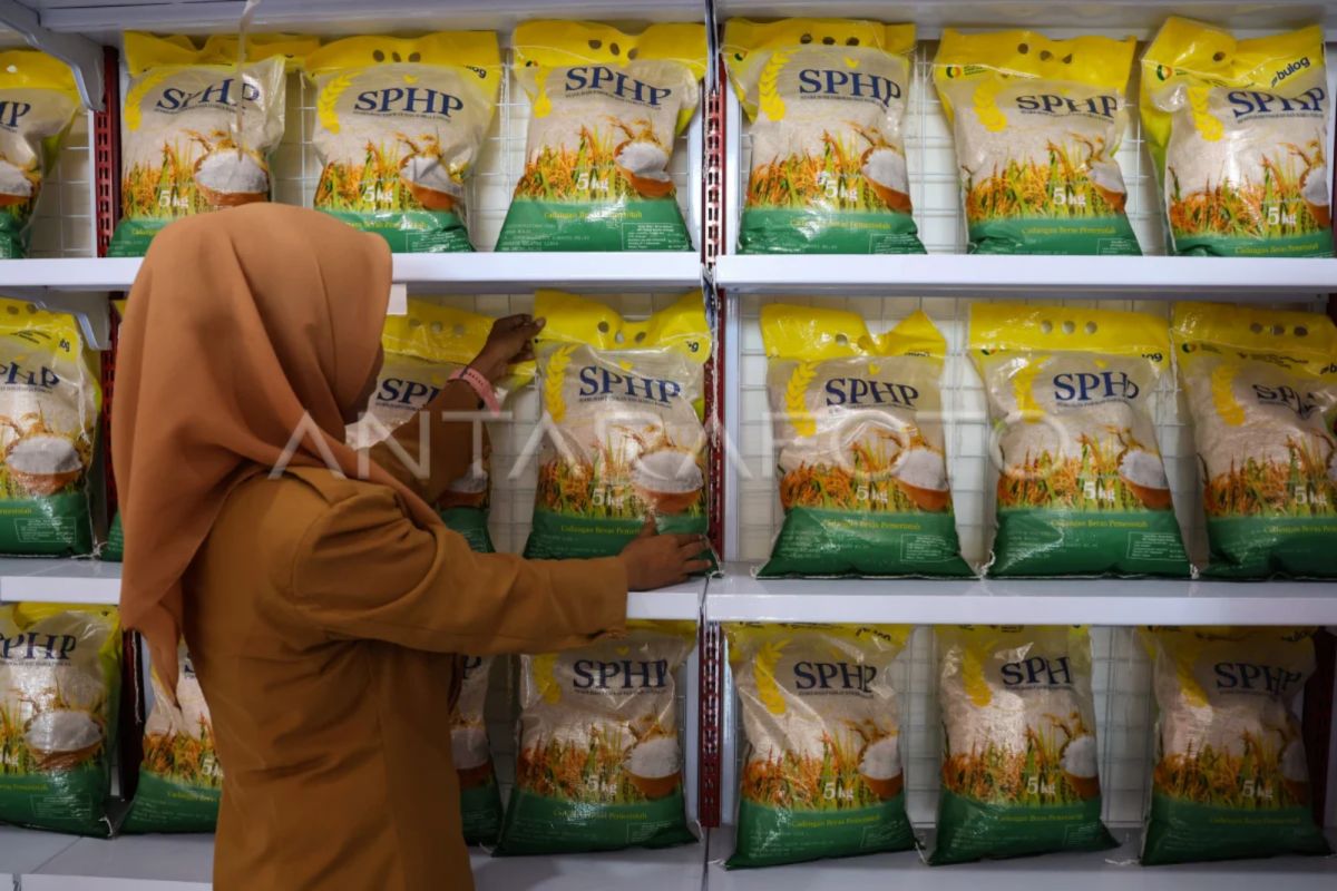 Bapanas minta GPM di DIY mempercepat penyaluran beras SPHP
