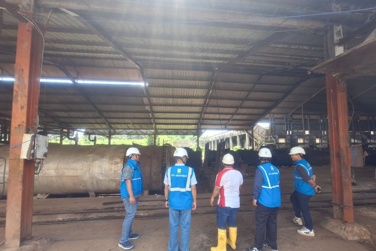 PLN pastikan keandalan pasokan listrik untuk pabrik kelapa sawit di Landak