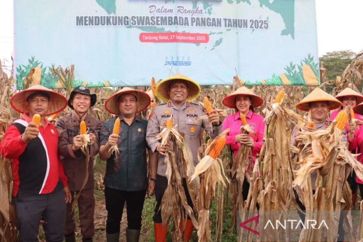 Panen Raya Jagung Kuartal III, Polres Tanjungbalai dukung swasembada pangan nasional